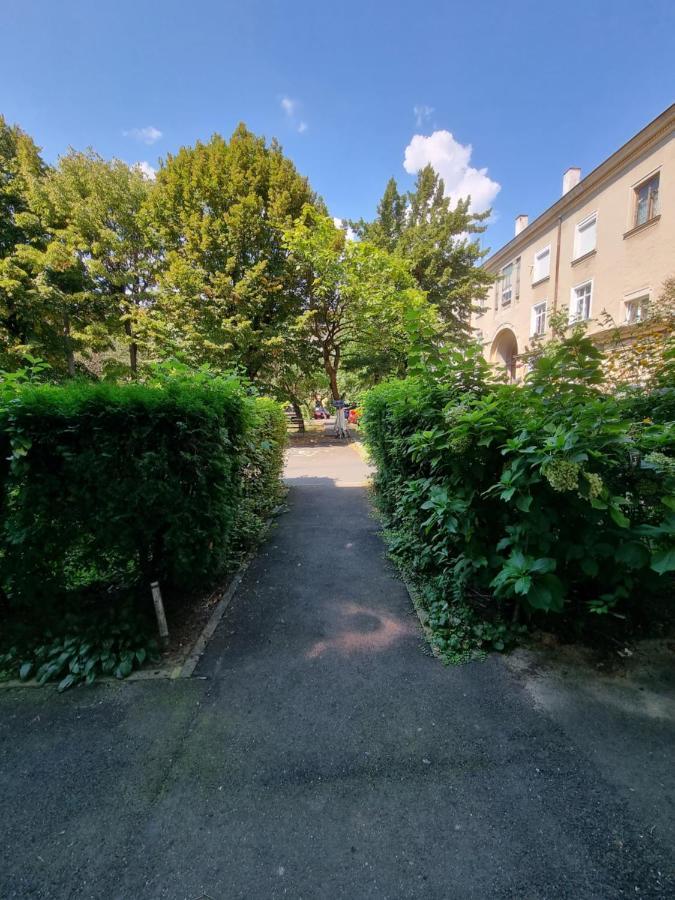 Ultra-Central 1 Bed Apartment, Str Nicolae Iorga Baia Mare Bagian luar foto